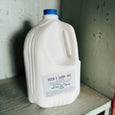 Dairy: Whole Milk